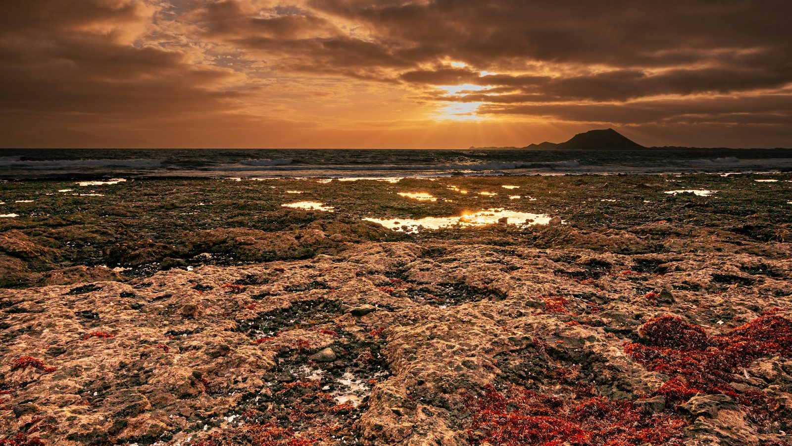 Autunno Corralejo