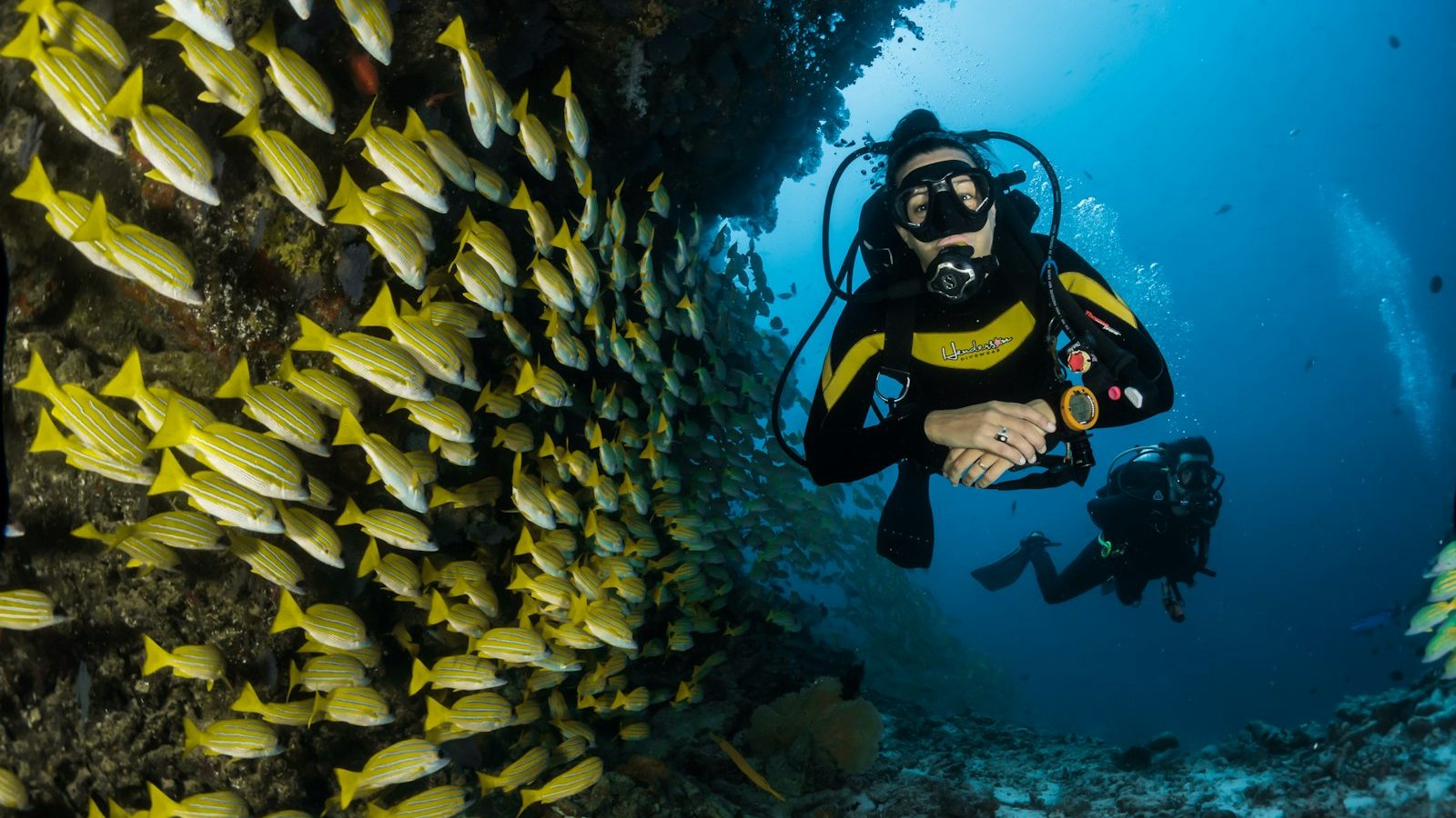 Immersioni Corralejo Diving