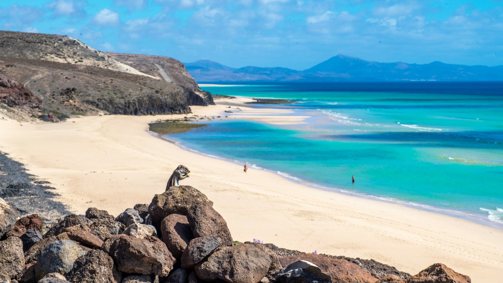 Spiagge Piu Belle Corralejo