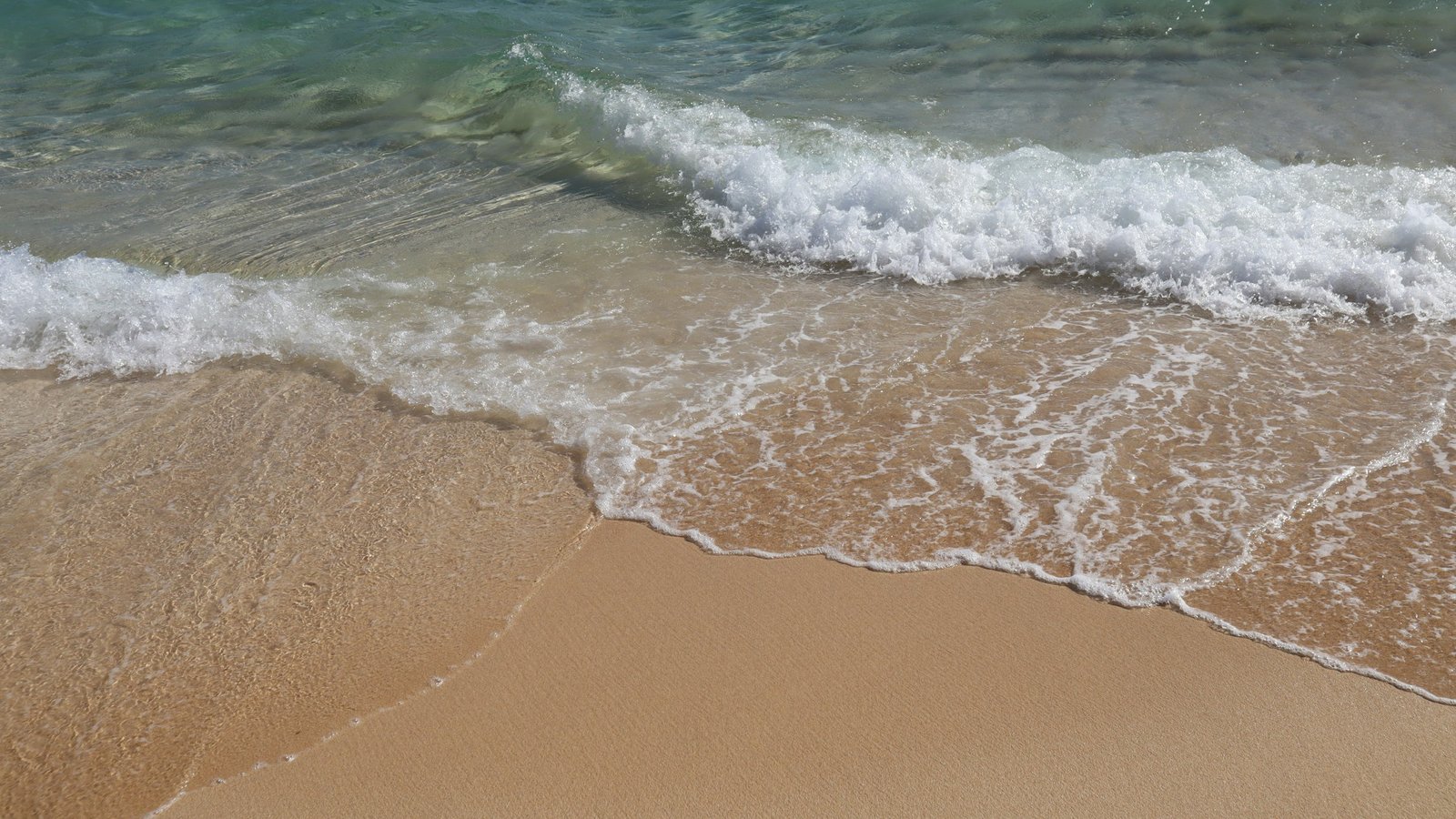 Surf Corralejo Spot Scuole